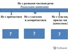 Not with different parts of speech Vocabulary dictation on the topic not and neither