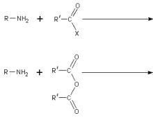 Amines - concept, properties, application