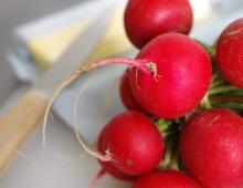 What is the calorie content of a radish?