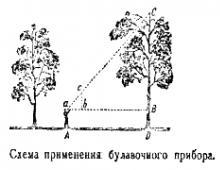 How is height and height measured?