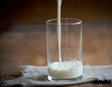 Useful and harmful properties of baked milk