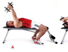 How to pump triceps by dumbbells, on bars and from bench - Exercises and anatomy