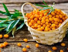 Calorie content of sea buckthorn and sea buckthorn products Calorie content of dried sea buckthorn in sugar