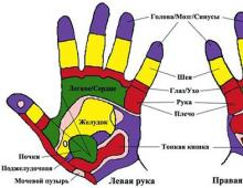 What hands can tell you about your personality