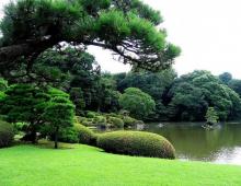 Notes about Japan. Gardens and parks of Tokyo. Japan: Gardens and parks in Tokyo Tokyo gardens