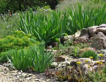 Where to get stones for an alpine slide