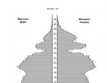 Half agent Pyramid: species, types, groups