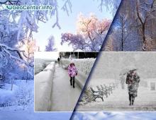 how to survive low temperature?