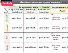 Plural endings of adjectives